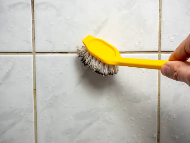 Best Fast Mold Removal  in Hitchcock, TX