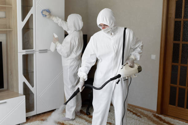 Home Mold Removal in Hitchcock, TX