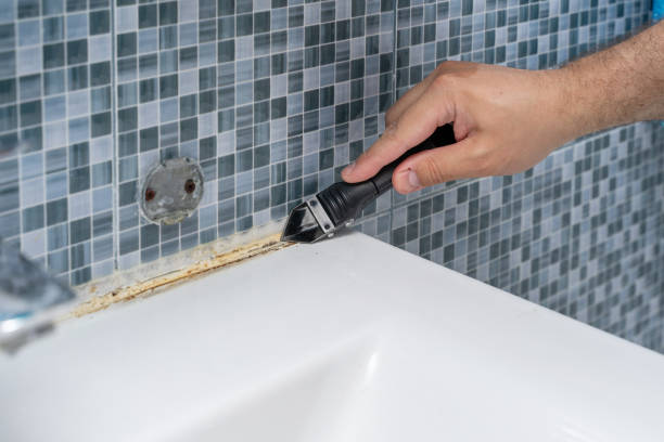 Best Emergency Mold Removal  in Hitchcock, TX