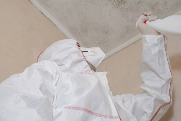 Best Mold Cleaning Services  in Hitchcock, TX