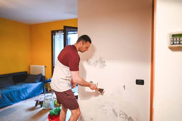 Best Home Mold Removal  in Hitchcock, TX