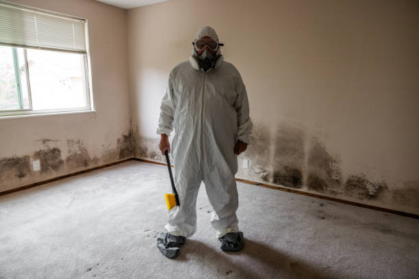 Best Professional Mold Removal  in Hitchcock, TX